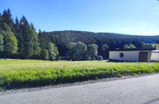 Grundstück zu kaufen in 09471 Bärenstein, Baugrundstück in Bärenstein OT Kühberg