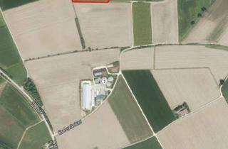 Grundstück zu kaufen in 89437 Haunsheim, Ackerfläche Gemarkung Unterbechingen zu verkaufen