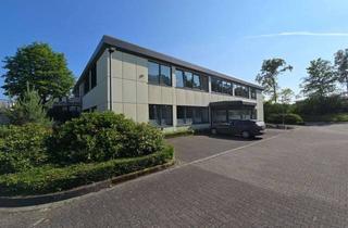 Büro zu mieten in 33758 Schloß Holte-Stukenbrock, Repräsentativ, hell und vielseitig! Attraktive Büroimmobilie in Schloß Holte-Stukenbrock