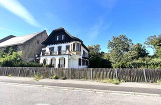 Büro zu mieten in 74831 Gundelsheim, Schöne Praxis-/Bürofläche in historischer Villa zu vermieten