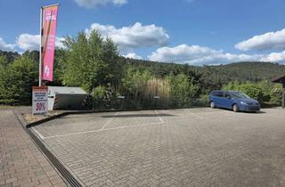 Lager kaufen in 76846 Hauenstein, Vielseitig nutzbare Geschäfts-Lagerhalle in Hauenstein