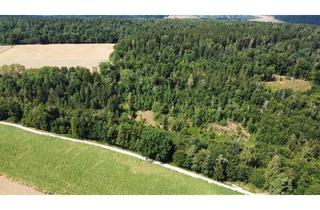 Immobilie kaufen in Birkental 50, 92339 Beilngries, Charmantes Waldgrundstück zu verkaufen in einer Gemeinde von Beilngries
