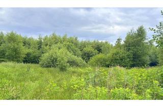 Gewerbeimmobilie kaufen in 26188 Edewecht, Großzügige (4,7 ha) Grünlandflächen in ruhiger Lage in Edewecht-Friedrichsfehn / Ausgleichsflächen!