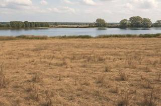 Gewerbeimmobilie kaufen in 17389 Anklam, Natur Pur: Fläche im Herzen des Peenetals bei Anklam – im FFH-Gebiet