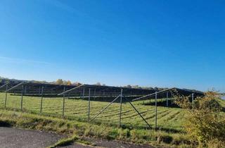Gewerbeimmobilie kaufen in 16356 Werneuchen, Vor den Toren Berlins: sehr interessantes Gewerbegrundstück mit vermietetem Solarpark