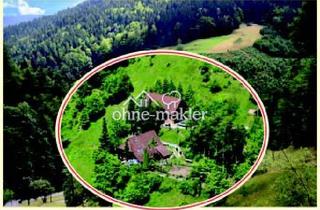 Grundstück zu kaufen in 77776 Bad Rippoldsau-Schapbach, Quellness mit Sauna und Whirlpools