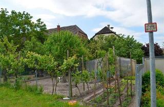 Haus kaufen in 67246 Dirmstein, !!!DENKMAL-AFA !!! Denkmalinvest Aus Vergangenheit wird Zukunft!
