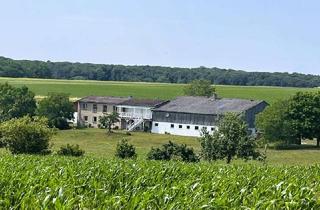 Haus kaufen in 74673 Mulfingen, RARITÄT AUF DEM IMMOBILIENMARKT: Repräsentativer Landsitz mit 3,7 Hektar