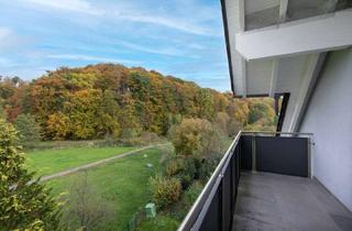 Haus kaufen in 63825 Schöllkrippen, Zukunftssicher: Wohntraum mit Renditegarantie