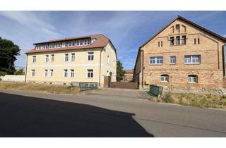 Haus kaufen in 06268 Nemsdorf-Göhrendorf, Gutshof mit 6-Familien-Wohnhaus und gut erhaltenen Nebengebäuden