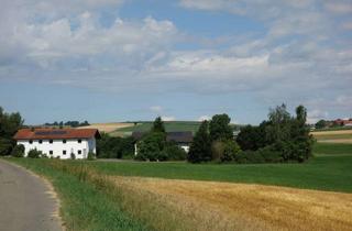 Haus kaufen in 93491 Stamsried, Absolute Alleinlage, Licht und Sonne den ganzen Tag, mit eigenem Quellwasser ca. 8000 m²