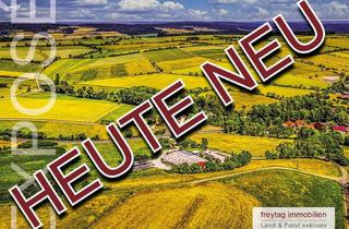 Haus kaufen in 37296 Ringgau, Zertifizierter Biolandbetrieb - Paradies für Mensch und Tier