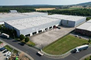 Gewerbeimmobilie mieten in 63755 Alzenau, Exklusiv: Logistikfläche - Provisionsfrei - 33x Rampe