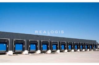 Gewerbeimmobilie mieten in 14974 Ludwigsfelde, Ludwigsfelde, ca. 30.080 m², Lager, Logistik