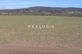 Grundstück zu kaufen in 39164 Wanzleben, Wanzleben | Grundstück zu verkaufen | Industriegebiet | ca. 34.500 m²