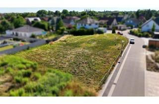 Grundstück zu kaufen in 06217 Merseburg, Merseburg - Baugrundstück im beliebten Neubaugebiet Meuschau - ruhig gelegen und vielseitig bebaubar