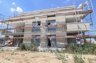 Wohnung kaufen in 74206 Bad Wimpfen, Lebensraum mit Charme und Eleganz – Exklusive 3,5-Zimmer-Wohnung mit Terrasse (4)