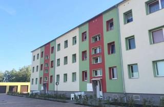 Wohnung mieten in Dörpallee 31, 18516 Süderholz, Wunderschöne 3-Zimmer-Wohnung mit Stellplatz, Garage, Stall und Garten in Neuendorf