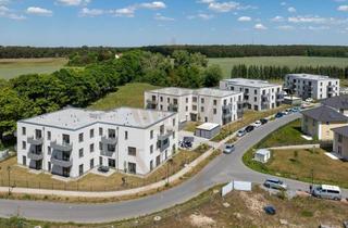 Wohnung mieten in 16359 Biesenthal, Moderne 2 Zimmer-Wohnung | für Senioren | barrierefrei | mit sonnigem Süd-Balkon | in Biesenthal