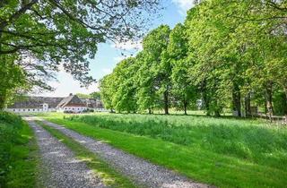Haus kaufen in 25917 Stadum, Historisches Reetdachanwesen mit vier Wohneinheiten in Nordfriesland!