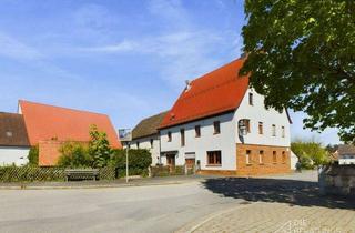 Mehrfamilienhaus kaufen in 91207 Lauf, Charmante Immobilie mit großem Hof und Geschichte - Ehemalige Gaststätte inkl. Wohnung zu verkaufen!