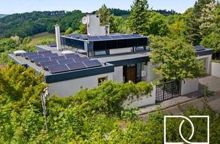 Villa kaufen in 91338 Igensdorf, Alleinlage mit Panoramablick! Luxuriöse Architektenvilla mit Schwimmhalle und 7.847 m² Grundstück