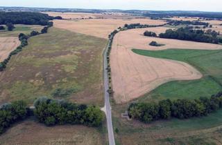 Anlageobjekt in 17291 Nordwestuckermark, Ca. 70 ha Landwirtschaftsfläche (langfristig verpachtet) in der Nordwestuckermark (provisionsfrei)