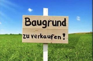 Grundstück zu kaufen in 76771 Hördt, Schönes Grundstück mit weiter Aussicht