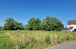 Grundstück zu kaufen in 53332 Bornheim, Attraktives Baugrundstück mit 982 m² in zentraler Lage von Bornheim-Hersel