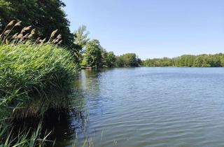 Grundstück zu kaufen in 15378 Herzfelde, Traumgrundstück am Kleinen Stienitzsee