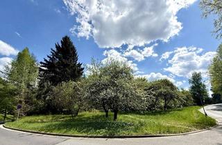Grundstück zu kaufen in 95448 Seulbitz, Exklusives 1.292 m² Grundstück – Ihr Rückzugsort an der beeindruckendsten Parkanlage Bayreut