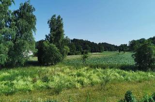 Gewerbeimmobilie kaufen in 84577 Tüßling, +++Wiese/Freizeitgrundstück/Ausgleichsfläche in Tüßling+++