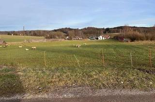 Gewerbeimmobilie kaufen in Rennertshofer Straße, 89290 Buch, +++Landwirtschaftliches Grundstück in Ortsrandlage+++