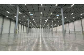 Gewerbeimmobilie mieten in 55457 Gensingen, 8.000 m² Logistikfläche | Honorarfrei | ab Anfang 2026