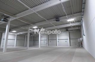 Büro zu mieten in 61169 Friedberg, 4.500 m² Halle (inkl. Kühlflächen) + 400 m² Büro | 4 Rampen, 3 ebenerdig | Teilbar ab 2.000 m²"