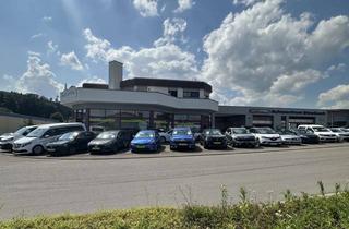 Büro zu mieten in Im Eschle 11, 78333 Stockach, Autohaus mit Büro, Werkstatt und Ausstellungsflächen zu vermieten! + Stellflächen
