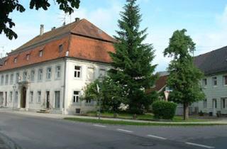 Anlageobjekt in Herrengasse, 89610 Oberdischingen, Historisch schön wohnen in Oberdischingen - Sanierungsobjekt mit weiteren Otionen