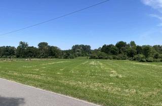 Gewerbeimmobilie kaufen in 86807 Buchloe, KLEINE WIESENFLÄCHE IN HONSOLGEN