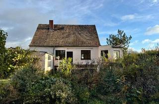 Einfamilienhaus kaufen in 04683 Naunhof, Naunhof - Haus im Dornröschenschlaf