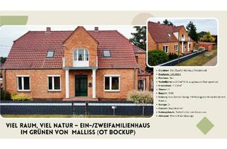 Haus kaufen in 19294 Neu Kaliß, Neu Kaliß - Viel Raum, viel Natur - Ein-Zweifamilienhaus im Grünen von Malliß
