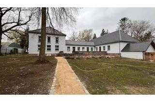 Wohnung mieten in Zabelsdorfer Straße 6g, 16775 Gransee, 1-Raumwohnung am Wentowsee / Erstbezug nach Sanierung