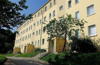 Wohnung mieten in Willy-Muhle-Straße, 01917 Kamenz, Smarte 1-Raumwohnung zu vermieten!