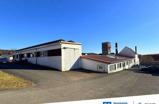 Haus kaufen in 33034 Brakel, Großzügige Gewerbehalle mit Zweifamilienhaus u. Bürogebäude!