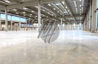 Büro zu mieten in 63150 Heusenstamm, NEUBAU ✓ RAMPE + EBEN ✓ Lager (4.000 m²) & Büro (800 m²)