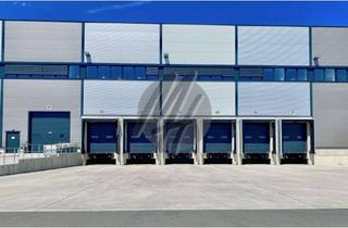 Büro zu mieten in 63150 Heusenstamm, KEINE PROVISION ✓ NEUBAU / ERSTBEZUG ✓ Lager (4.000 m²) & Büro (800 m²)