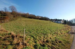 Grundstück zu kaufen in Ober Den Wiesen, 64743 Beerfelden, STARK REDUZIERT! - Großzügiges Baugrundstück in Gammelsbach zu verkaufen!