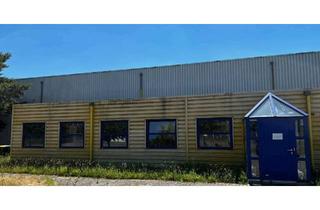 Büro zu mieten in Baumhaselweg, 14827 Wiesenburg, Büro 60 m² + Halle 500 m² zu Vermieten