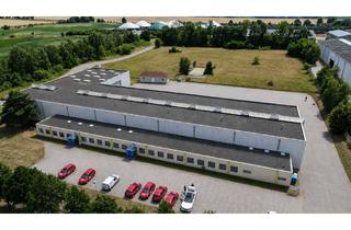 Büro zu mieten in Baumhaselweg, 14827 Wiesenburg, Flexible Gewerbehalle 2.000 m² mit Büro 60 m² in Wiesenburg zu Vermieten