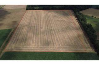 Gewerbeimmobilie mieten in 32369 Rahden, Ca. 6,4 ha Ackerland in Rahden-Varl