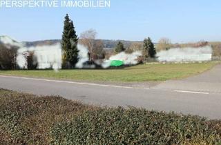 Gewerbeimmobilie kaufen in 64732 Bad König, Gewerbegrundstück in exzellenter Lage